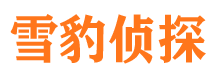 雷州寻人公司